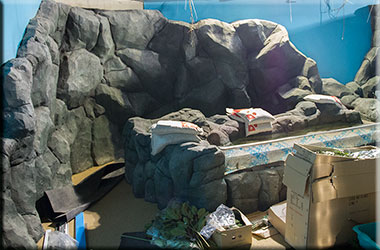 Hunstanton SEA LIFE Sanctuary