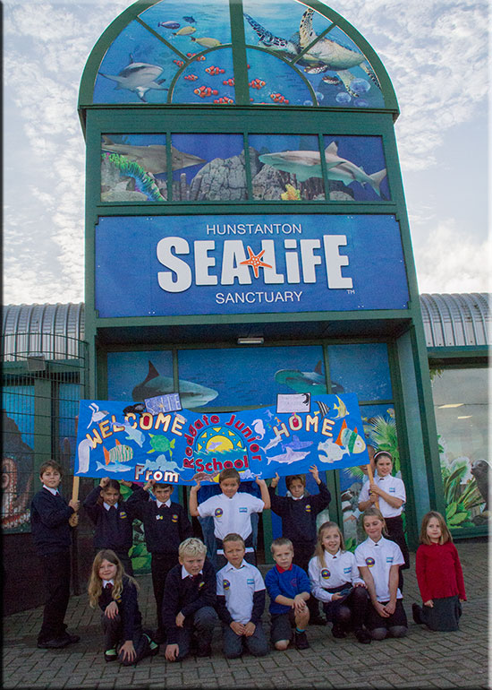Hunstanton SEA LIFE Sanctuary