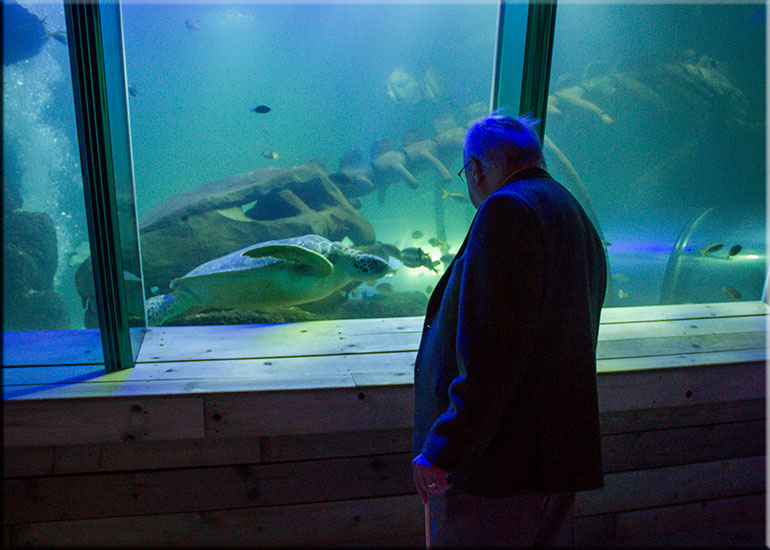 Hunstanton SEA LIFE Sanctuary