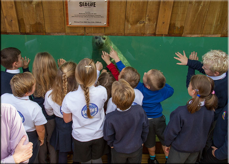 Hunstanton SEA LIFE Sanctuary