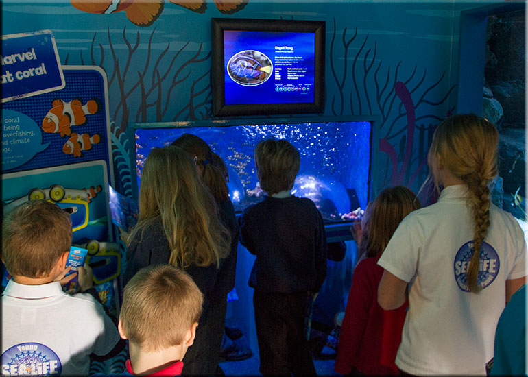 Hunstanton SEA LIFE Sanctuary