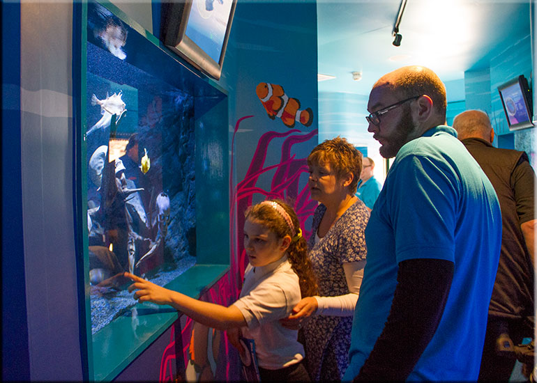 Hunstanton SEA LIFE Sanctuary