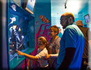 Hunstanton SEA LIFE Sanctuary - 15th October 2014