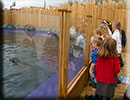 Hunstanton SEA LIFE Sanctuary - 15th October 2014