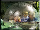 Hunstanton SEA LIFE Sanctuary - 15th October 2014