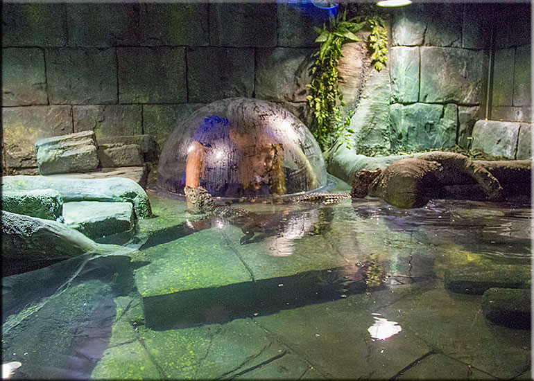 Hunstanton SEA LIFE Sanctuary