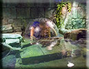 Hunstanton SEA LIFE Sanctuary - 15th October 2014