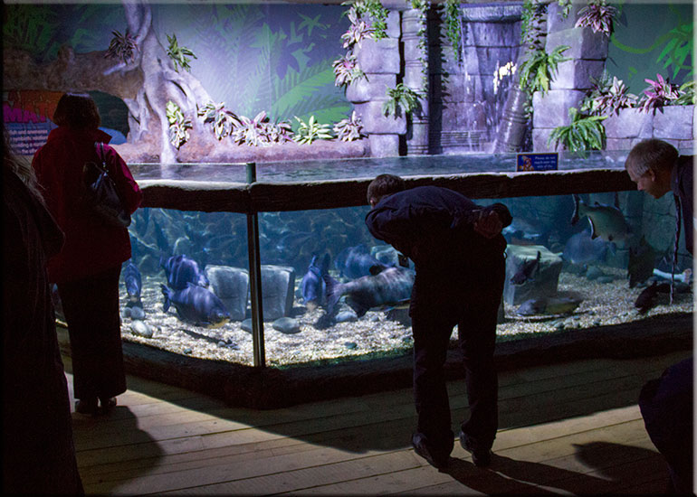 Hunstanton SEA LIFE Sanctuary