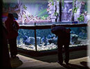 Hunstanton SEA LIFE Sanctuary - 15th October 2014