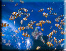 Hunstanton SEA LIFE Sanctuary - 15th October 2014