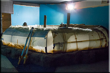 Hunstanton SEA LIFE Sanctuary