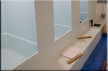Hunstanton SEA LIFE Sanctuary