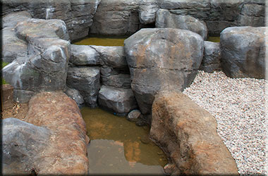 Hunstanton SEA LIFE Sanctuary