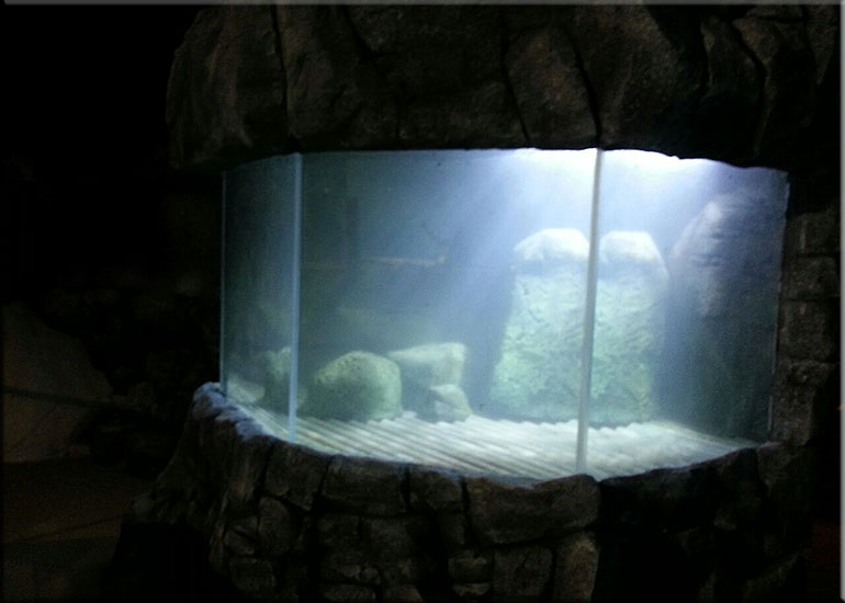 Hunstanton SEA LIFE Sanctuary