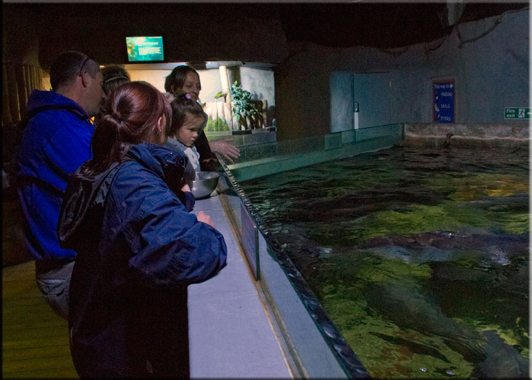 Aquarium