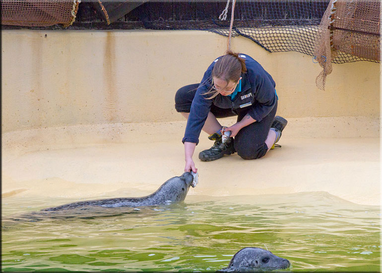 Jo hand feeding Tyne