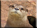 Scarborough SEA LIFE Sanctuary - 22nd August 2014