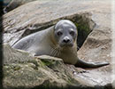 Scarborough SEA LIFE Sanctuary - 22nd August 2014