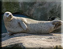 Scarborough SEA LIFE Sanctuary - 22nd August 2014
