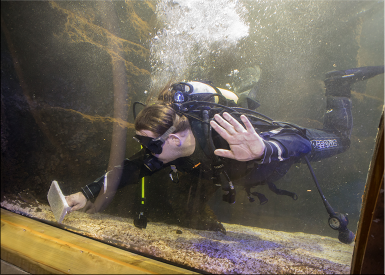 Kieran cleaning the Ocean Tank