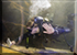 Kieran, The Sanctuary´s Curator, cleaning the Ocean Tank