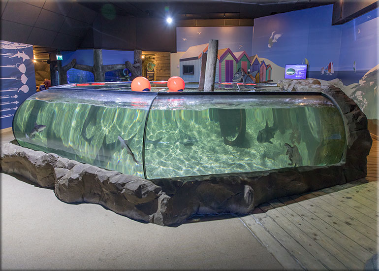 Hunstanton Sea Life Sanctuary