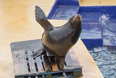 Andre in December 2014