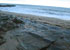 Pup at Fishing Cove, Gunwalloe