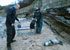 Pup at Fishing Cove, Gunwalloe