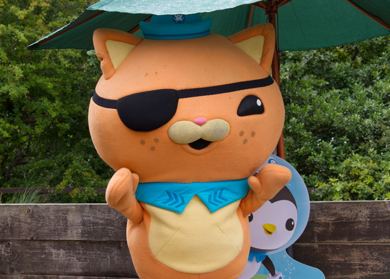 Kwazii, The Octonauts
