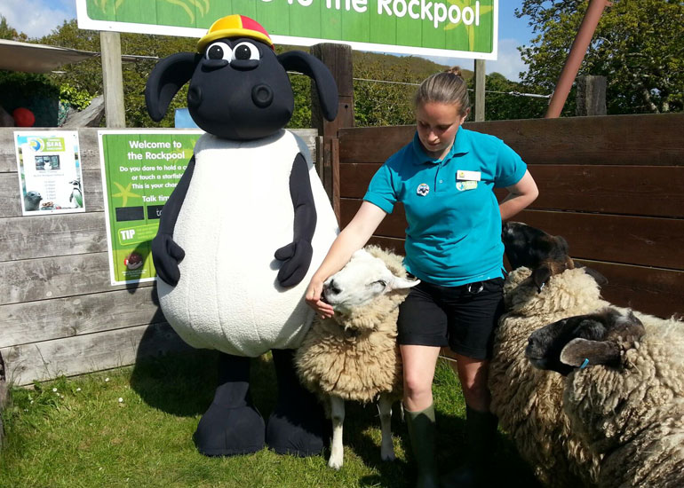 Stanley, Bella and Bluebell get to meet their hero Timmy with Jenny from the Animal Care Team