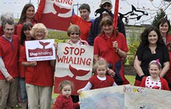 Walk for Whales - 28th June 2015
