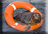 Rescued pup