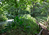 Nature Trail