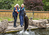 Seal Experience