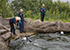 Seal Experience