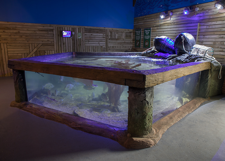 Aquarium