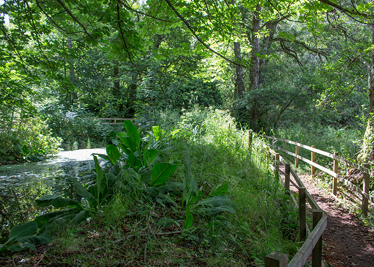 Nature Trail