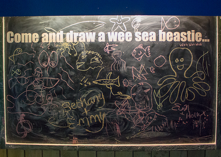 Blackboard