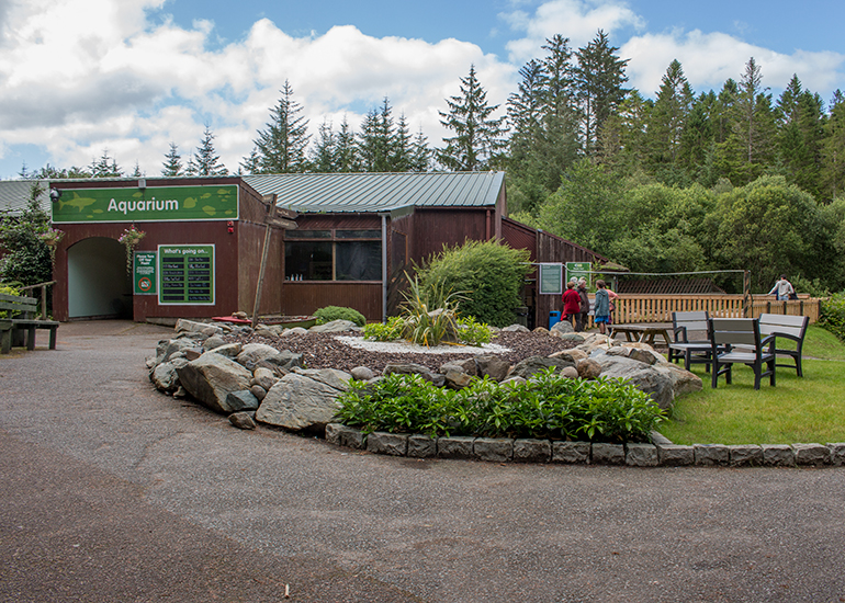Oban Sea Life Sanctuary