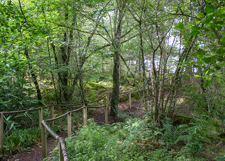 Nature Trail