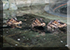 Hunstanton Sea Life Sanctuary