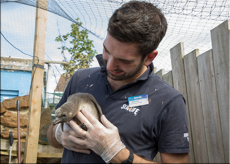 Hunstanton Sea Life - May 2017 news update