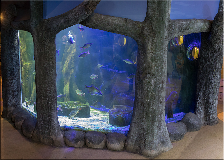 Hunstanton Sea Life - May 2017 news update