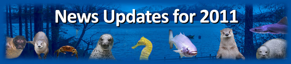 [News Update]