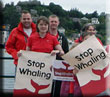 Walk for Whales - 29th June 2014
