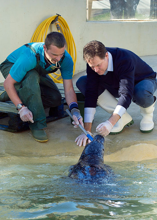 The Deputy Prime Minister Nick Clegg visited the Seal Sanctuary on 5th March 2015