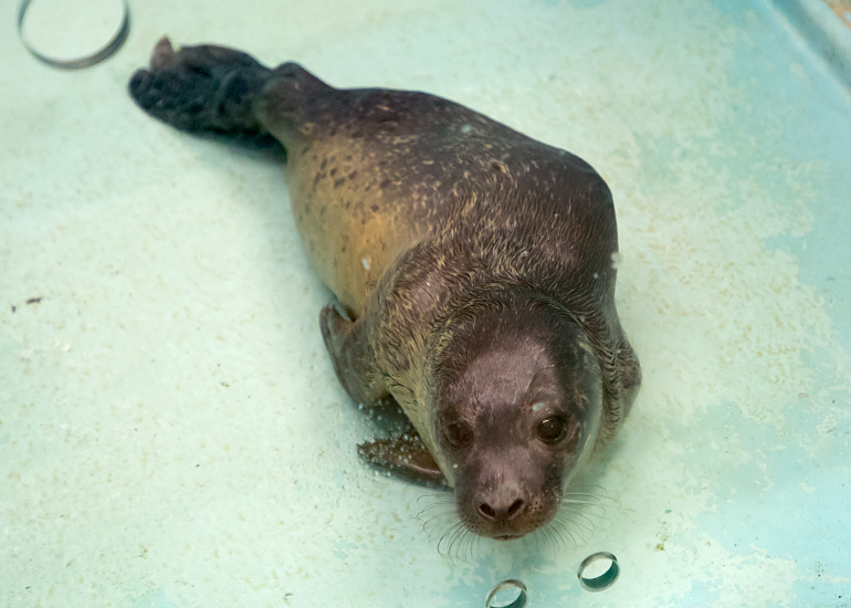Photo of Norbert was taken on 16th July 2017