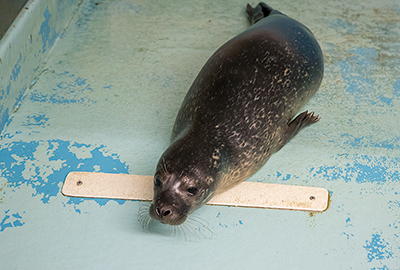 Norbert photo taken on 22nd August 2017