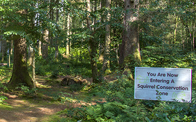 Nutkins Nature Trail